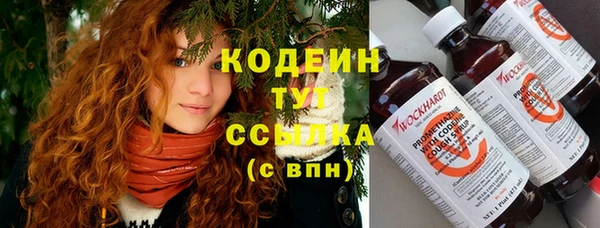 бошки Алексин