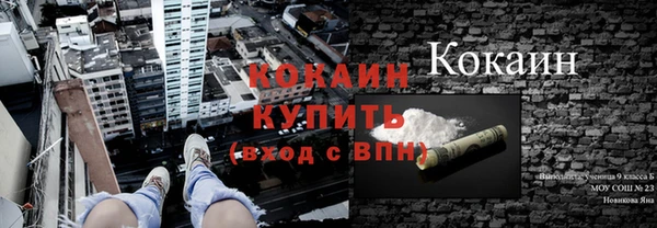 крисы Алзамай