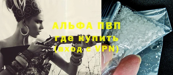крисы Алзамай